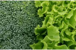 7 Cara menyimpan sayuran agar tetap segar tanpa kulkas, pakai tisu