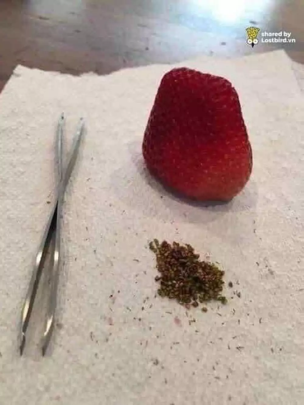 cara lucu orang kupas makanan © 2021 instagram.com