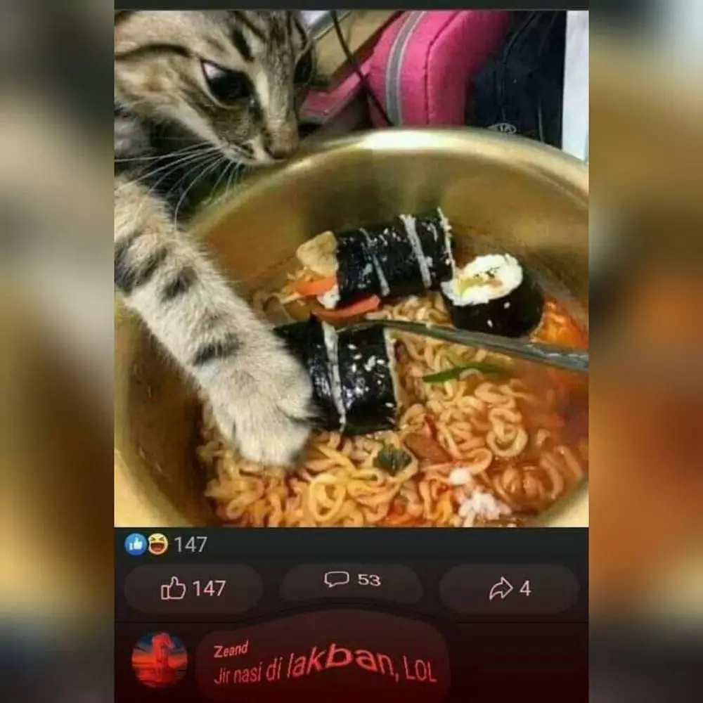 momen lucu kucing mencuri makanan © 2021 instagram.com