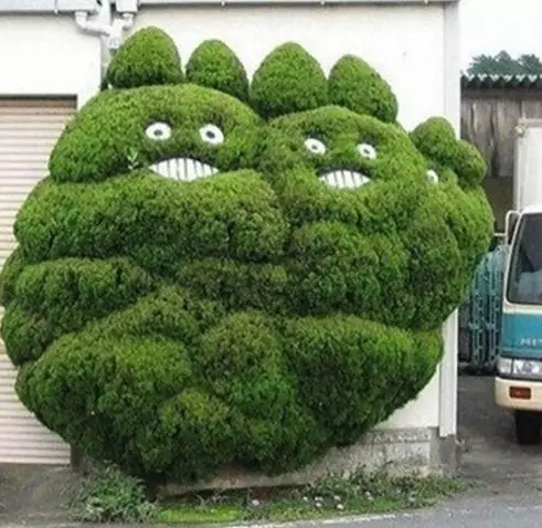 potret lucu pohon nggak biasa © 2021 1cak.com potret lucu pohon nggak biasa © 2021 1cak.com