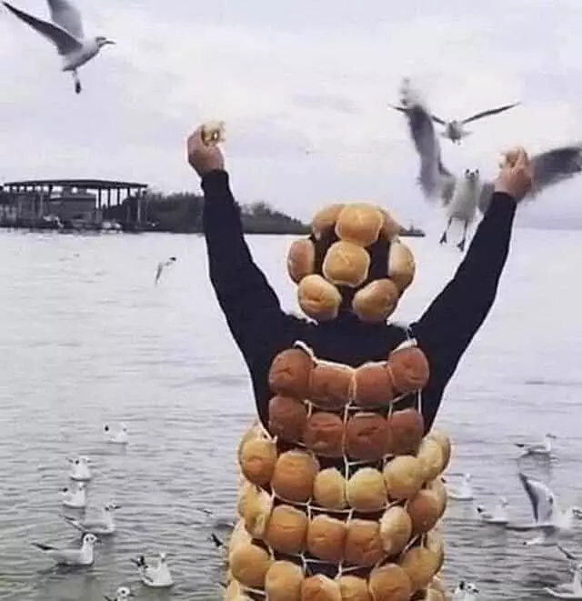 momen apes orang di sungai © 2021 1cak.com