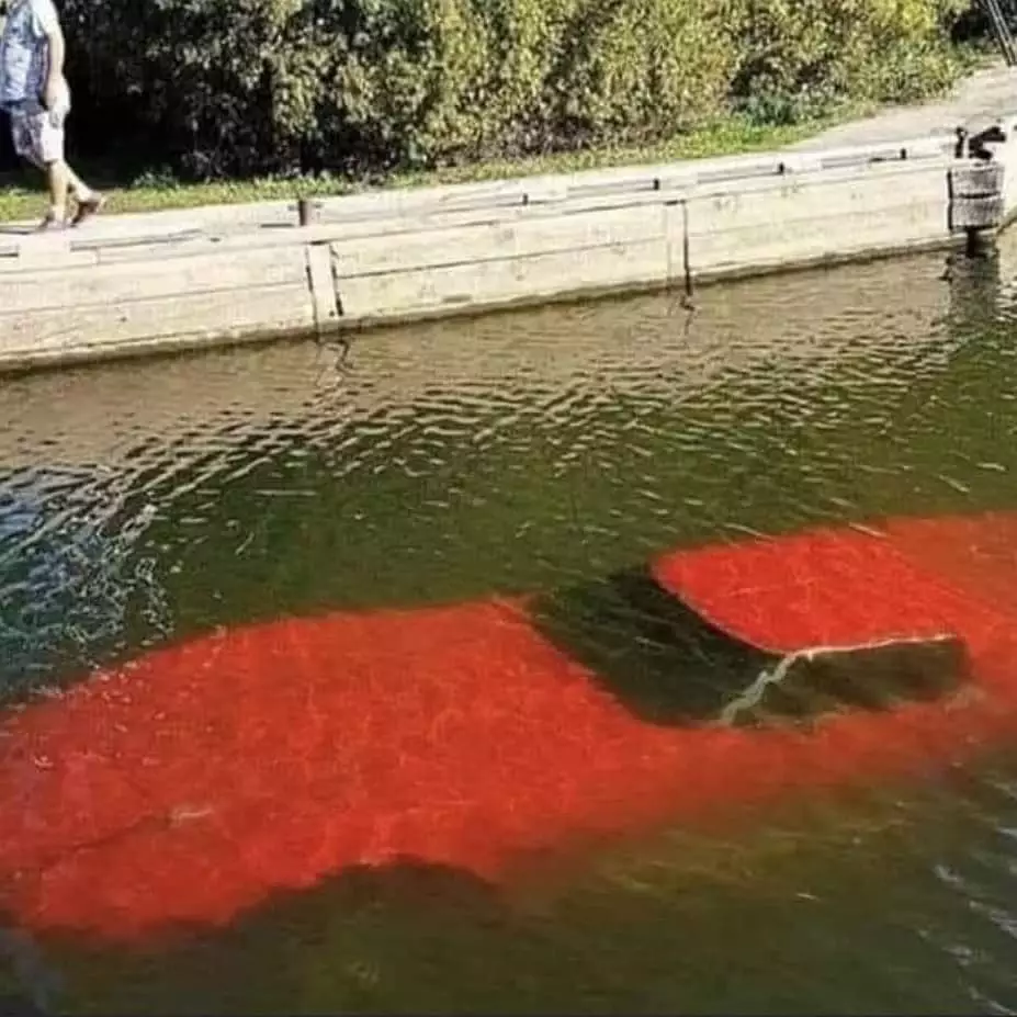 momen apes orang di sungai © 2021 1cak.com