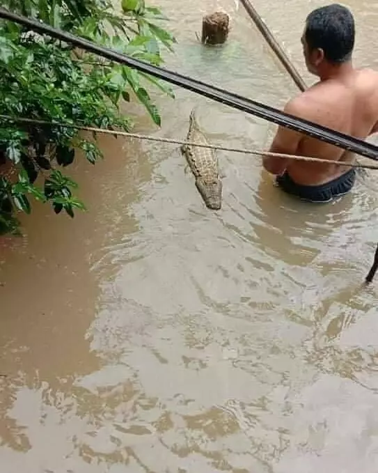 momen apes orang di sungai © 2021 1cak.com