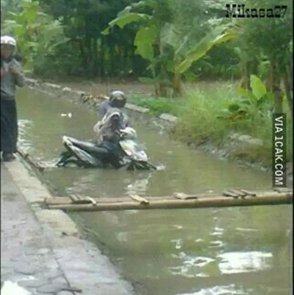 momen apes orang di sungai © 2021 1cak.com