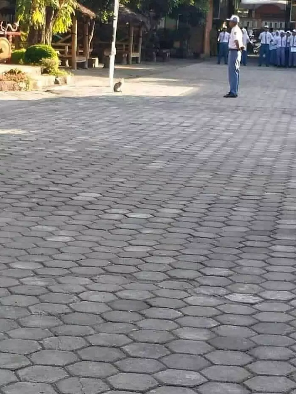 momen lucu saat upacara © 2021 berbagai sumber