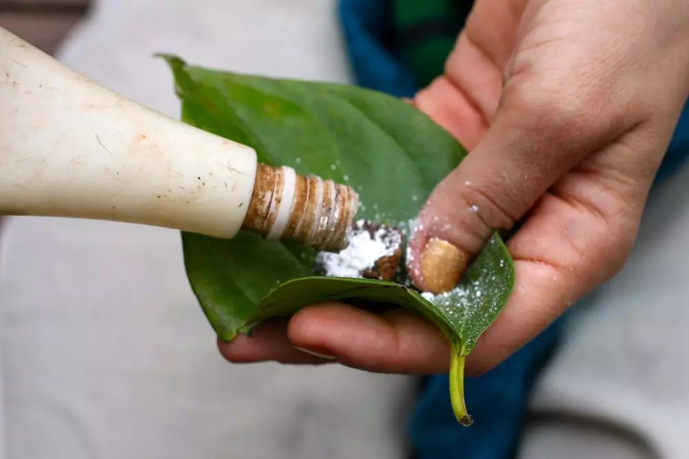 6 Bahan pengusir rayap © 2021 brilio.net