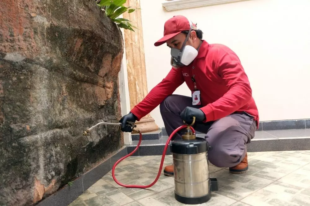 6 Bahan pengusir rayap © 2021 brilio.net