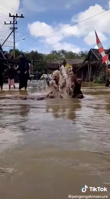 Kisah pengantin kebanjiran © TikTok/@pengengakinsecure