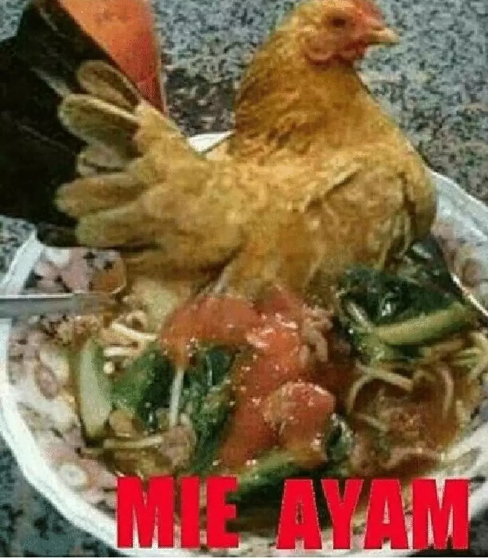 potret lucu makan mie ayam © 2021 berbagai sumber