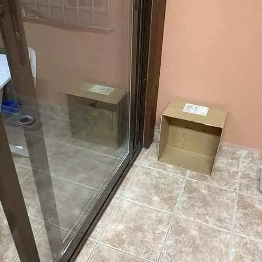 potret lucu kucing ngagetin © 2021 instagram.com potret lucu kucing ngagetin © 2021 instagram.com