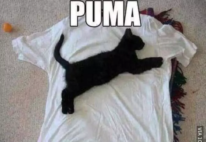 tulisan merek kaus cowok pelesetan lucu © 2021 brilio.net