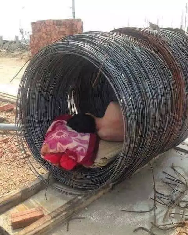 momen lucu tukang bangunan pakai alat proyek © 2021 instagram.com momen lucu tukang bangunan pakai alat proyek © 2021 instagram.com