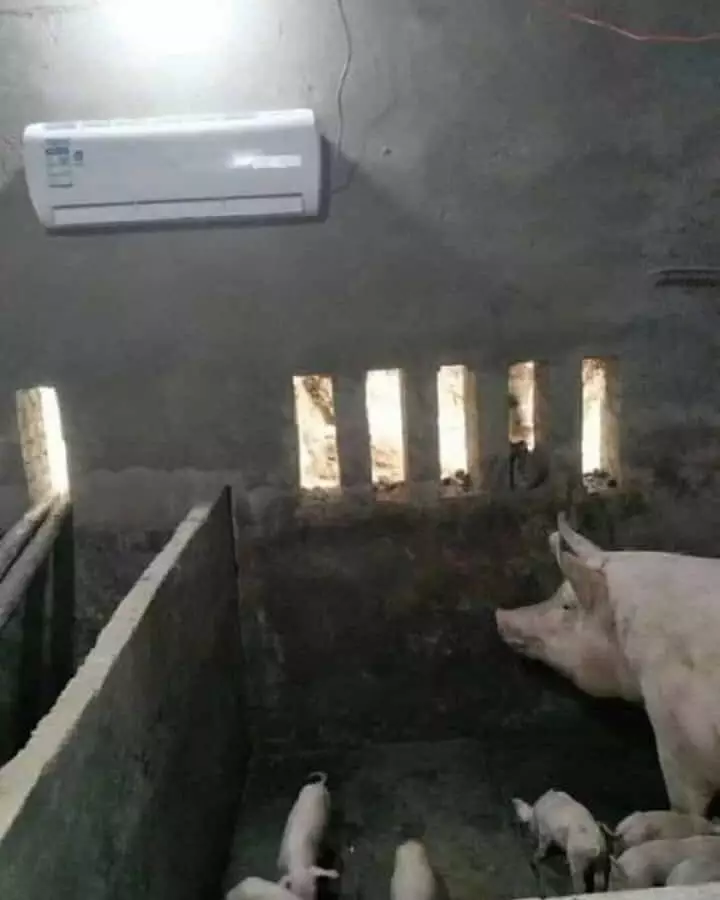 potret lucu pasang AC salah tempat © 2021 instagram.com