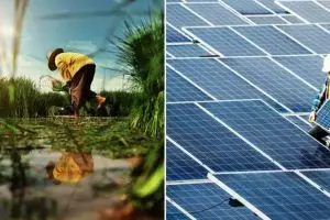 Dua perusahaan swasta ini mulai terapkan nol emisi karbon