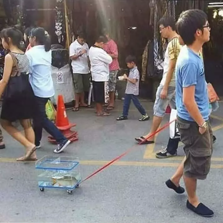 momen lucu bapak-bapak absurdnya totalitas © 2021 instagram.com momen lucu bapak-bapak absurdnya totalitas © 2021 instagram.com