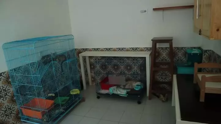 potret detail rumah arbani yasiz © YouTube