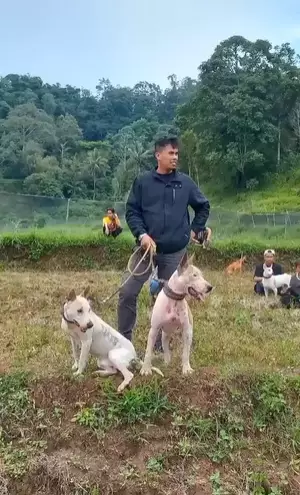 Kegiatan Lord Adi di Kampung Instagram Kegiatan Lord Adi di Kampung Instagram