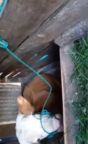 Kegiatan Lord Adi di Kampung Instagram Kegiatan Lord Adi di Kampung Instagram