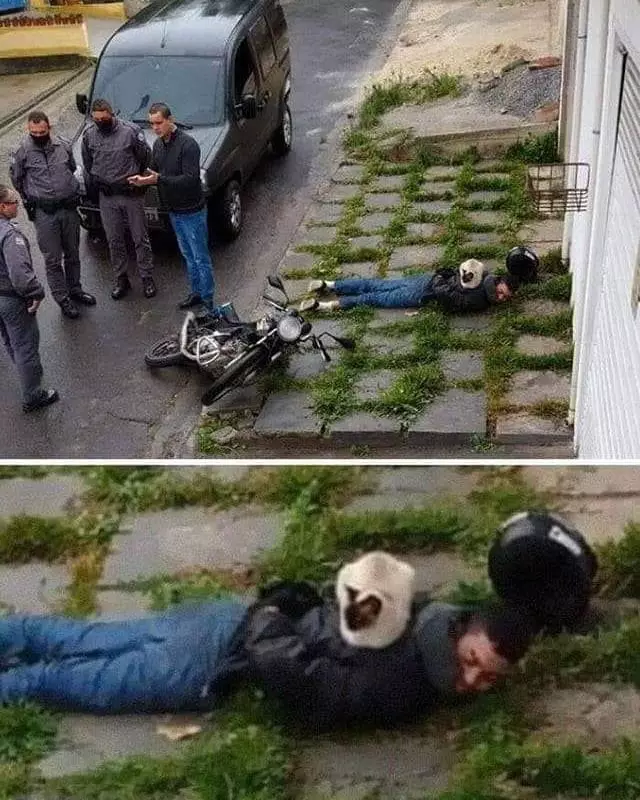 momen lucu waktu orang kelihatan di CCTV © 2021 1cak.com