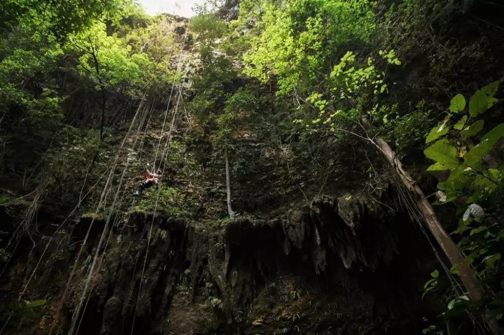 Ekowisata Indonesia © 2021 brilio.net