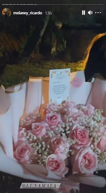 Momen ultah Luna Maya ke-38 dari berbagai sumber