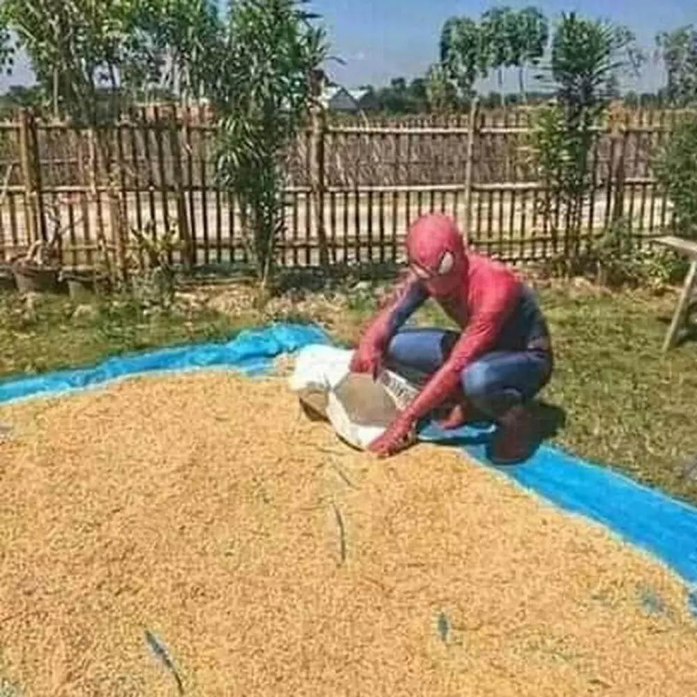 9 Potret orang pakai kostum Spider-Man ini bikin ngakak berbagai sumber