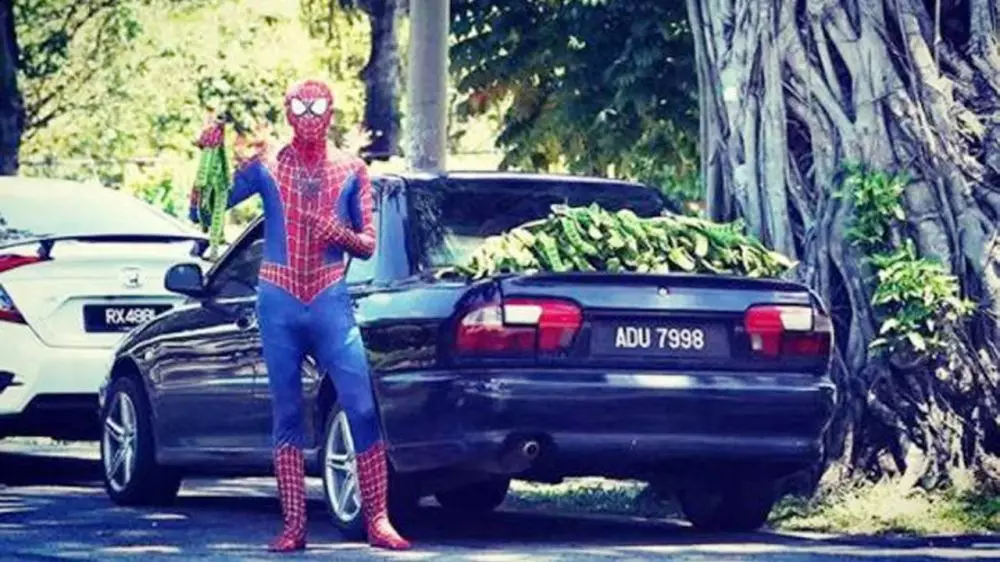 9 Potret orang pakai kostum Spider-Man ini bikin ngakak berbagai sumber