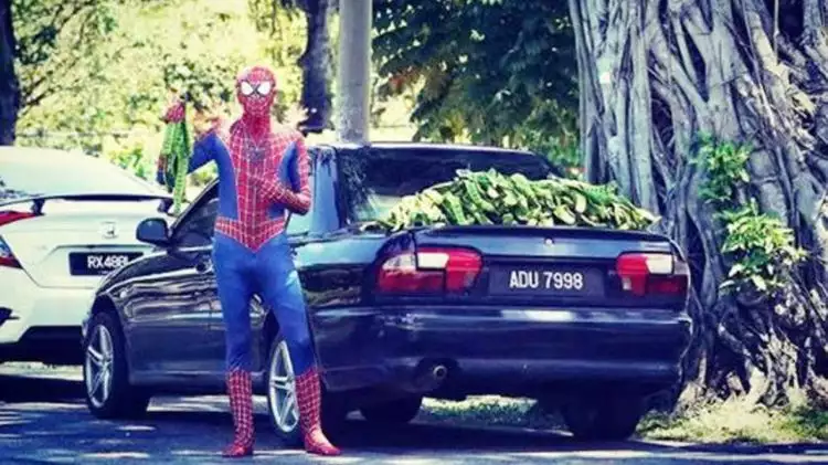 9 Potret orang pakai kostum Spider-Man ini bikin ngakak