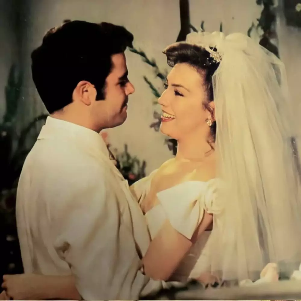 momen pernikahan pasangan seleb di telenovela © berbagai sumber