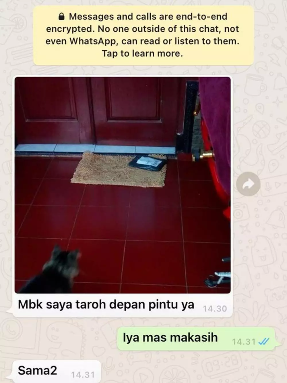 kucing jadi penerima paket lucu © 2021 berbagai sumber