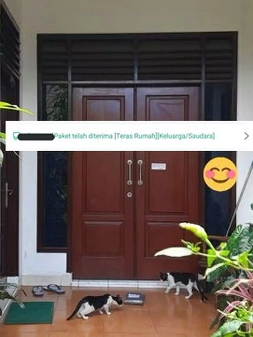 kucing jadi penerima paket lucu © 2021 berbagai sumber