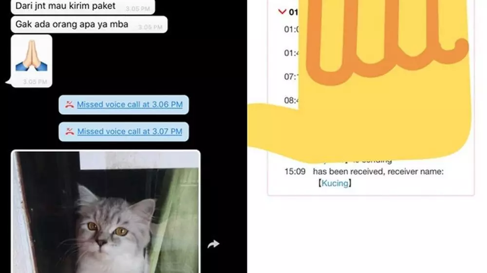 kucing jadi penerima paket lucu © 2021 berbagai sumber