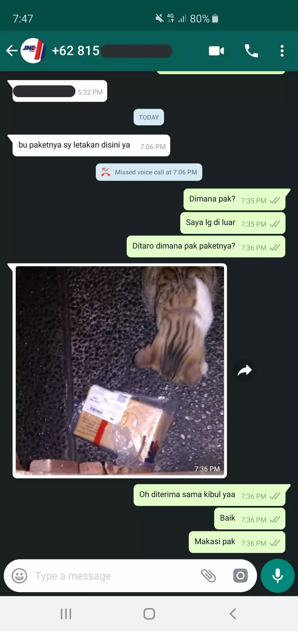 kucing jadi penerima paket lucu © 2021 berbagai sumber