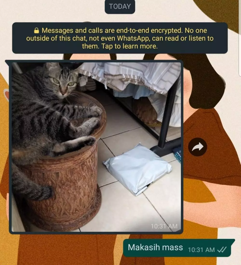 kucing jadi penerima paket lucu © 2021 berbagai sumber