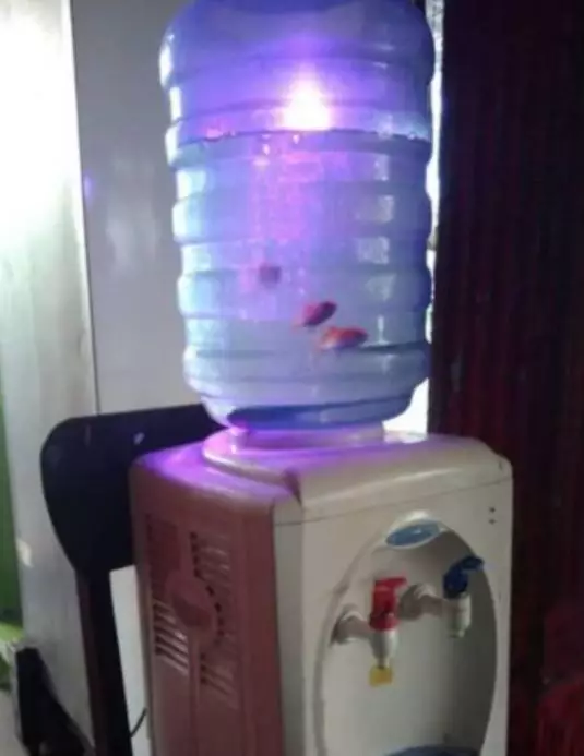 cara orang manfaatin dispenser lucu © 2021 1cak.com