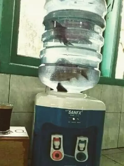 cara orang manfaatin dispenser lucu © 2021 1cak.com