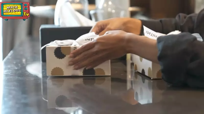 Momen pertemuan Irwan Mussry YouTube/MAIA ALELDUL TV