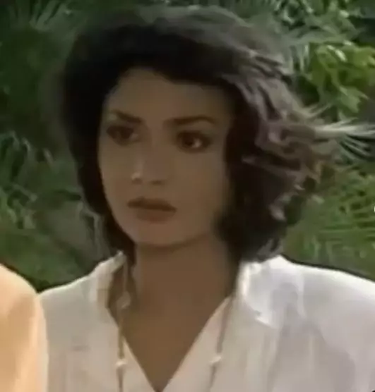 seleb anggota DPR saat main sinetron © 2021 berbagai sumber