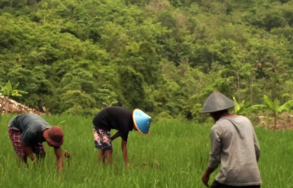 Embung Grigak © 2021 brilio.net