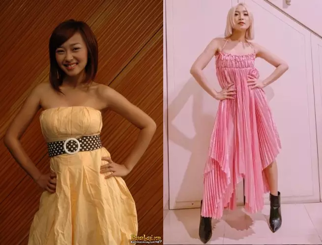 beda gaya dulu dan kini Rinni Idol dari berbagai sumber beda gaya dulu dan kini Rinni Idol dari berbagai sumber