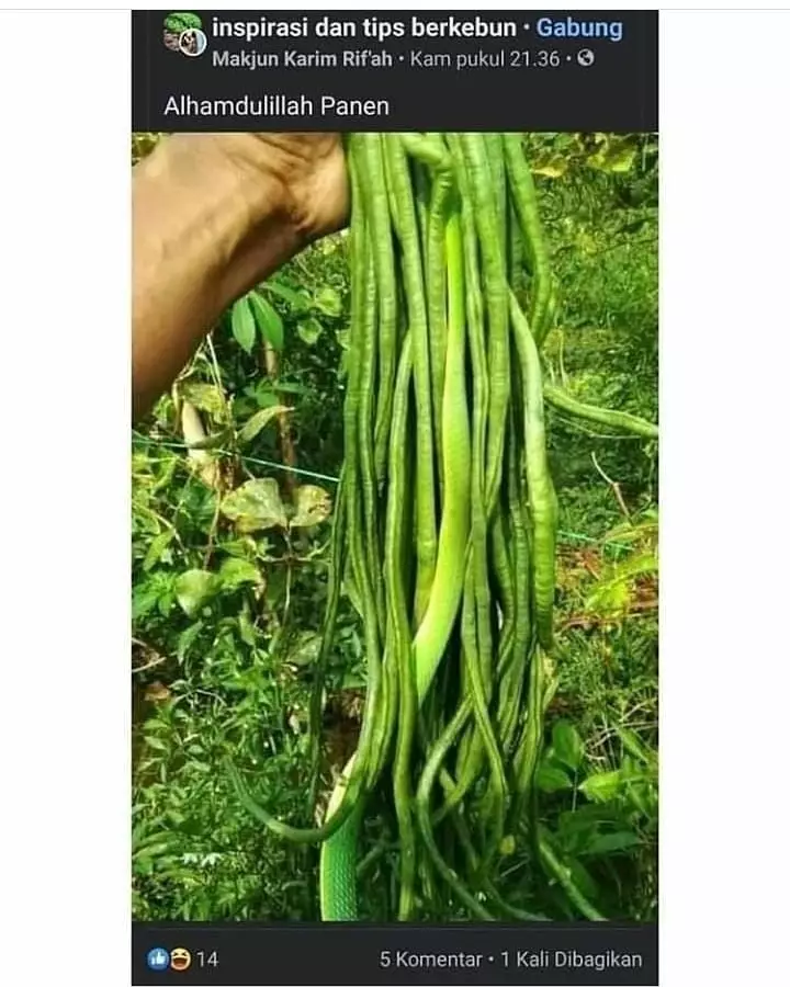 status Facebook yang bikin kamu kudu lihat jeli © 2021 instagram.com