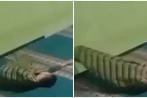 Viral video pria ditarik sosok misterius saat tidur, auto merinding