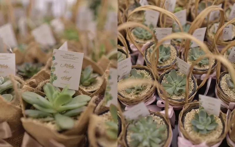 suvenir pernikahan penyanyi dari berbagai sumber suvenir pernikahan penyanyi dari berbagai sumber