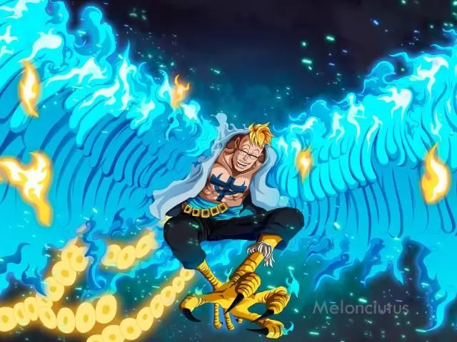 9 Fakta menarik Marco berbagai sumber