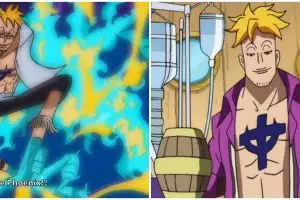 9 Fakta menarik Marco, wakil kapten Shirohige dalam serial One Piece