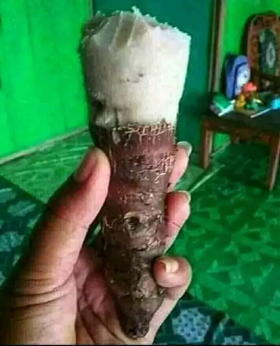 potret makanan yang menipu mata © 2021 instagram.com