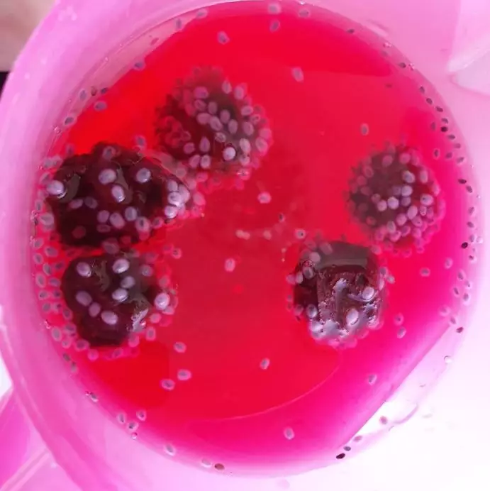 potret makanan yang menipu mata © 2021 instagram.com