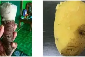 11 Potret lucu makanan ini bikin kamu harus lihat dua kali