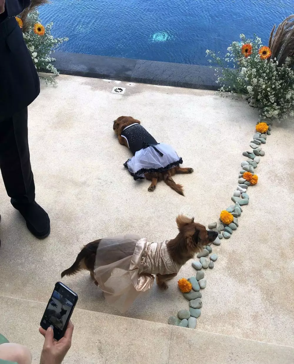 Momen pernikahan Sonia Eryka © 2021 brilio.net