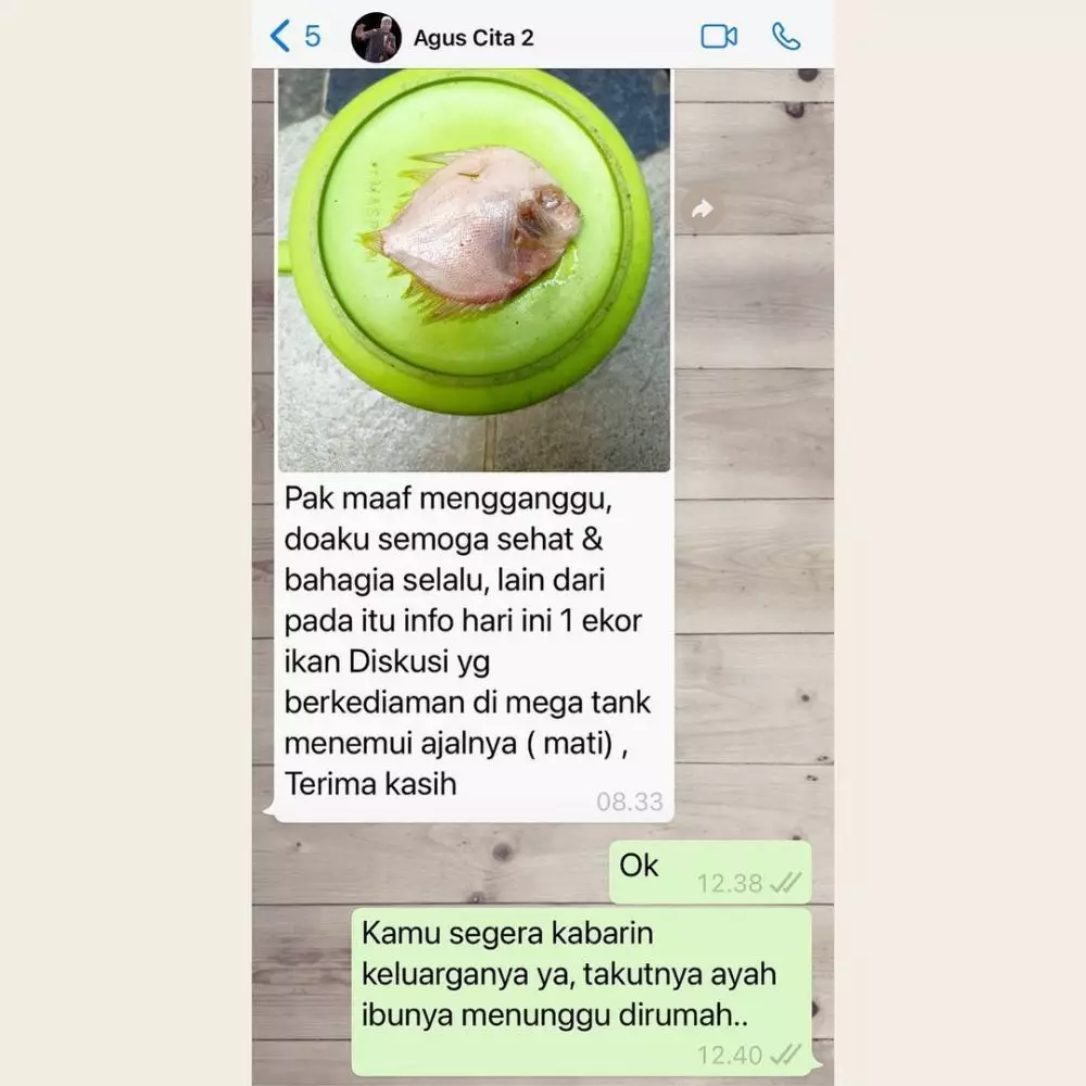 Chat unik karyawan Denny Cagur © Instagram Chat unik karyawan Denny Cagur © Instagram